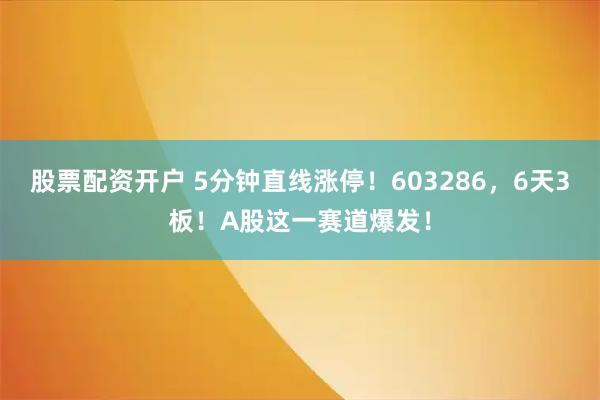 股票配资开户 5分钟直线涨停！603286，6天3板！A股这一赛道爆发！